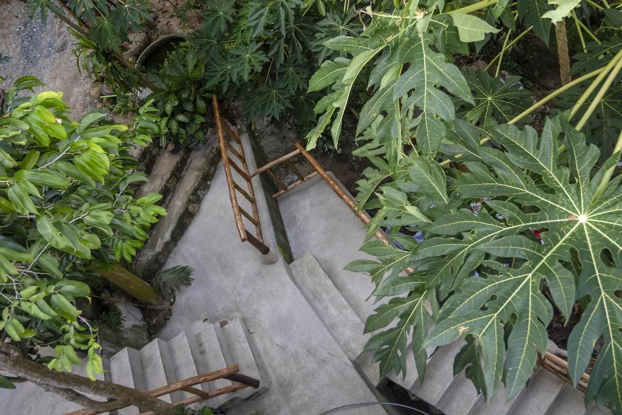 Deishaview Jungle Hostel Ko Tao