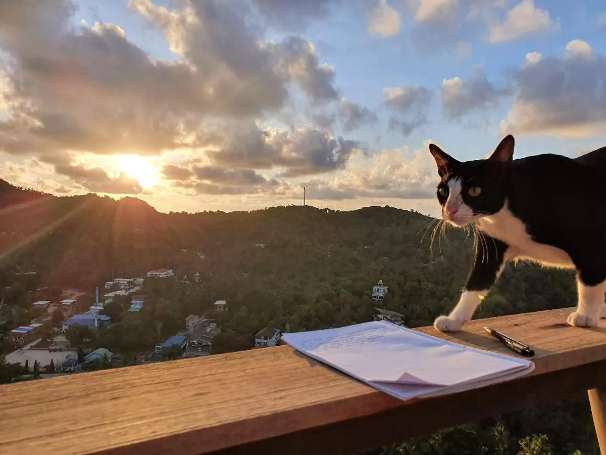 Deishaview Jungle Hostel Koh Tao 0*,  Thailand