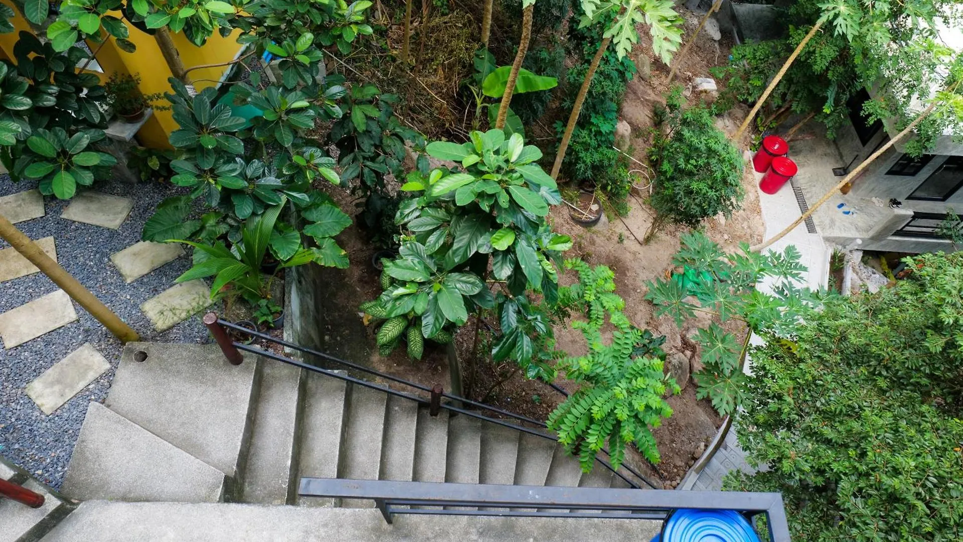 קו טאו Deishaview Jungle Hostel תאילנד
