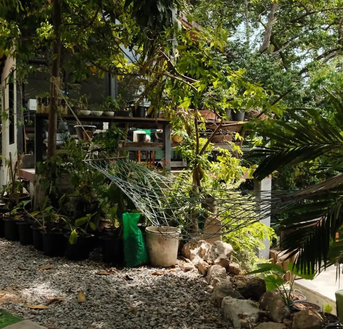 קו טאו Deishaview Jungle Hostel