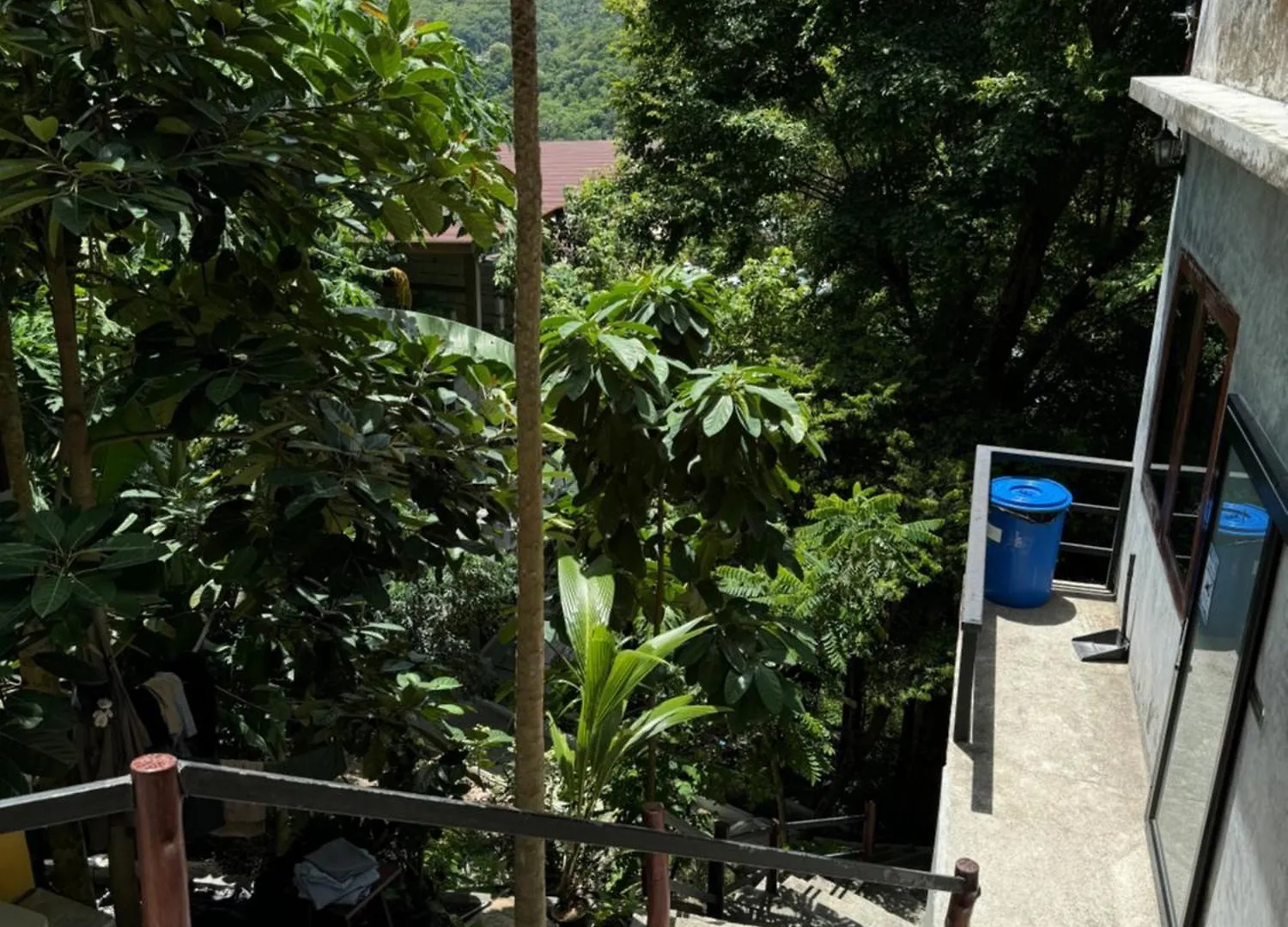 קו טאו Deishaview Jungle Hostel קו טאו